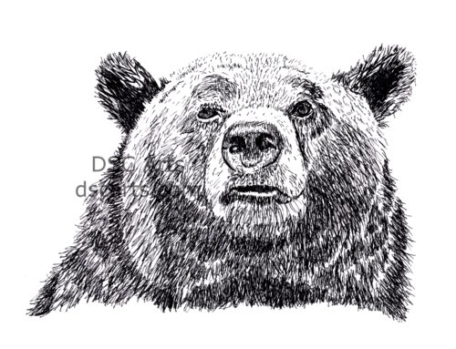 Bear Ink